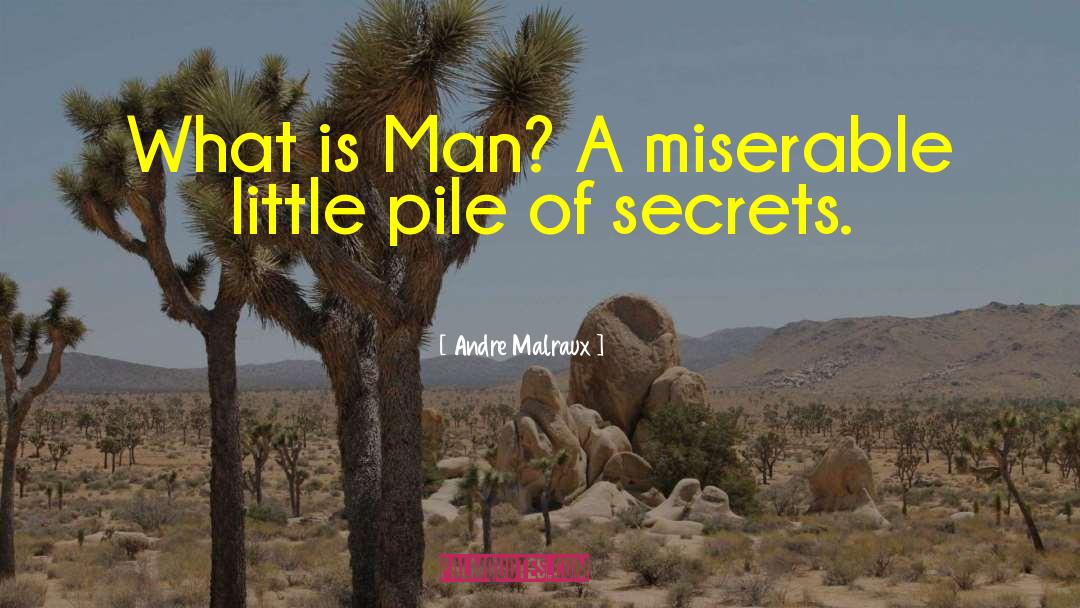 Andre Malraux Quotes: What is Man? A miserable