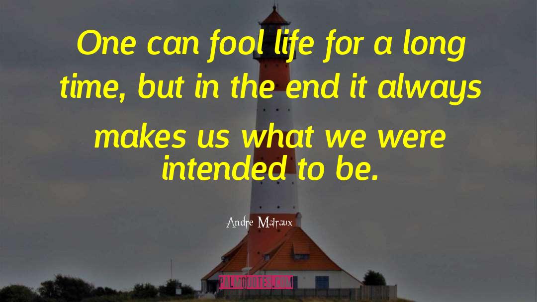 Andre Malraux Quotes: One can fool life for
