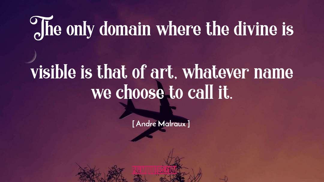 Andre Malraux Quotes: The only domain where the