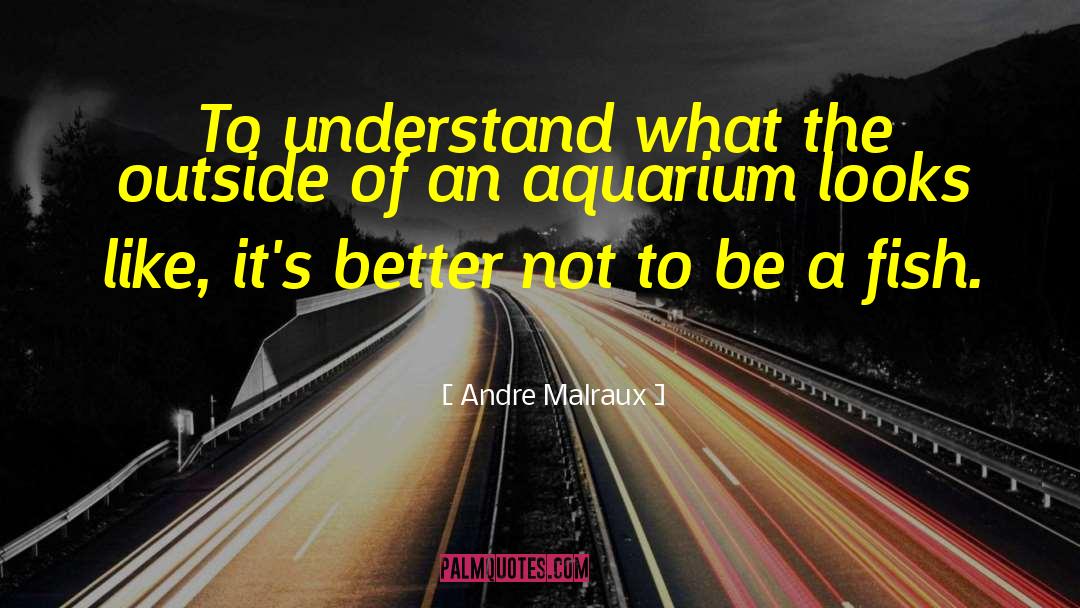 Andre Malraux Quotes: To understand what the outside