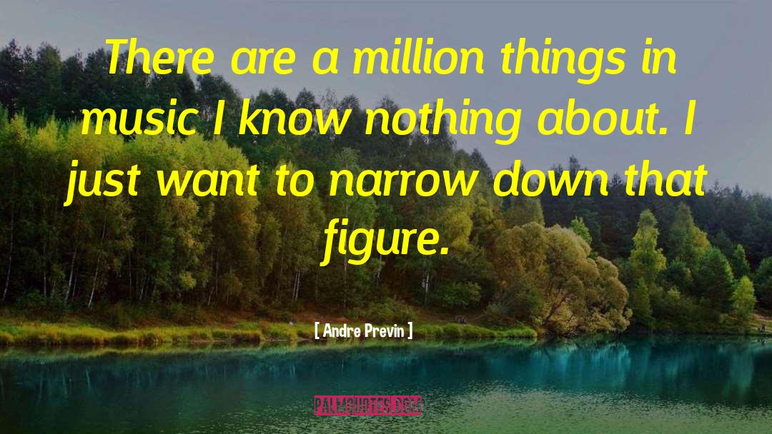 Andre Previn Quotes: There are a million things