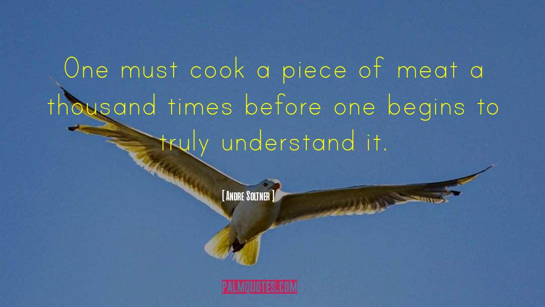 Andre Soltner Quotes: One must cook a piece