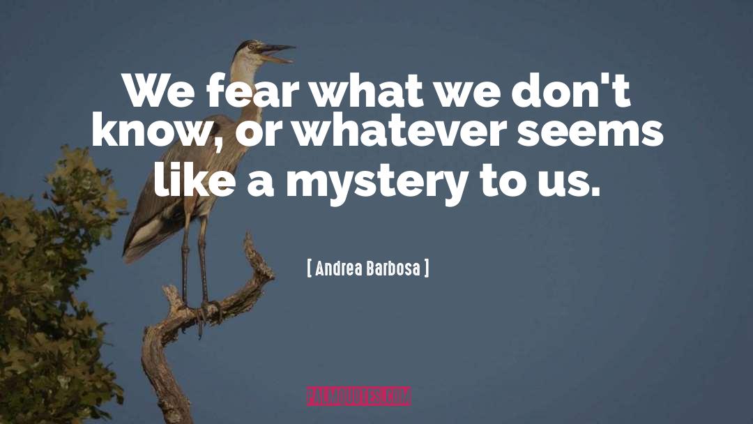 Andrea Barbosa Quotes: We fear what we don't