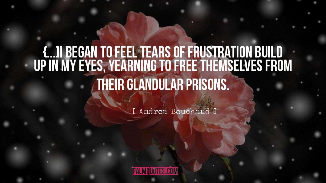 Andrea Bouchaud Quotes: {...]I began to feel tears