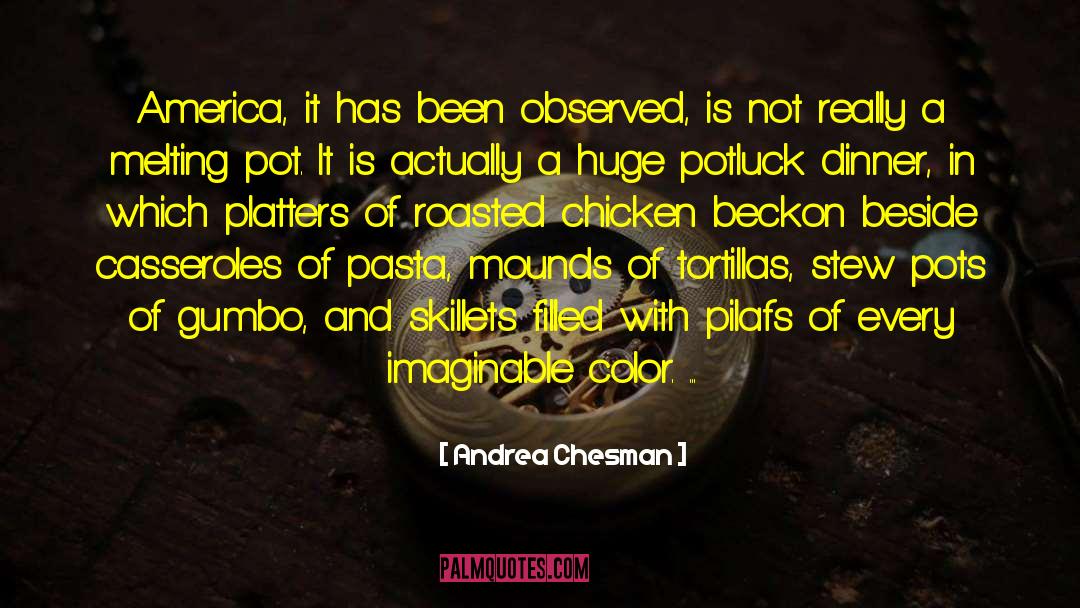 Andrea Chesman Quotes: America, it has been observed,