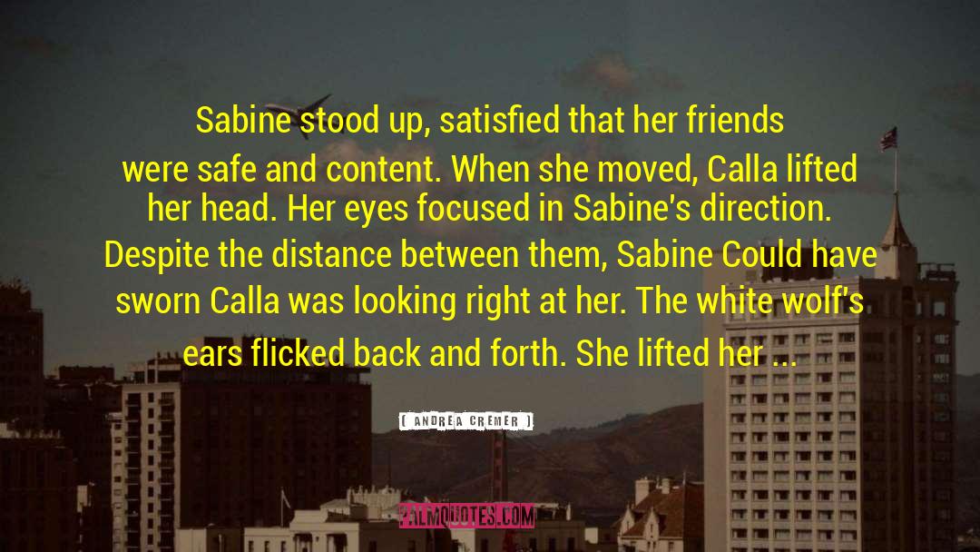 Andrea Cremer Quotes: Sabine stood up, satisfied that