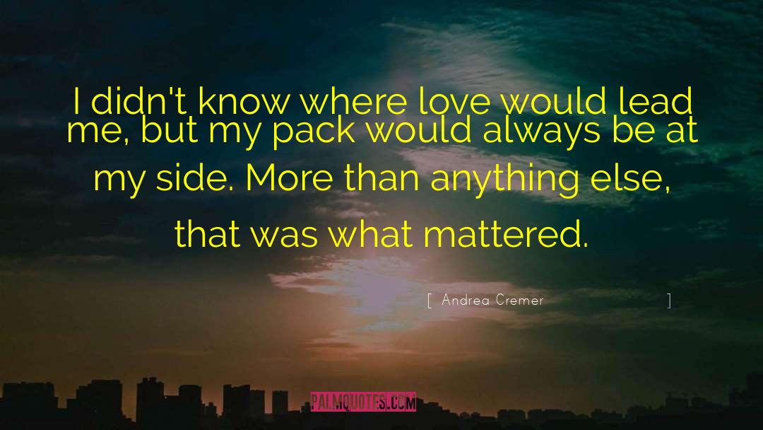 Andrea Cremer Quotes: I didn't know where love