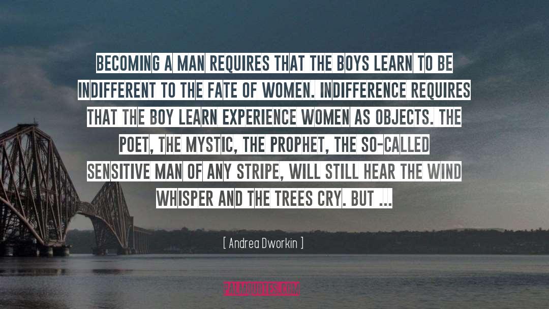 Andrea Dworkin Quotes: Becoming a man requires that