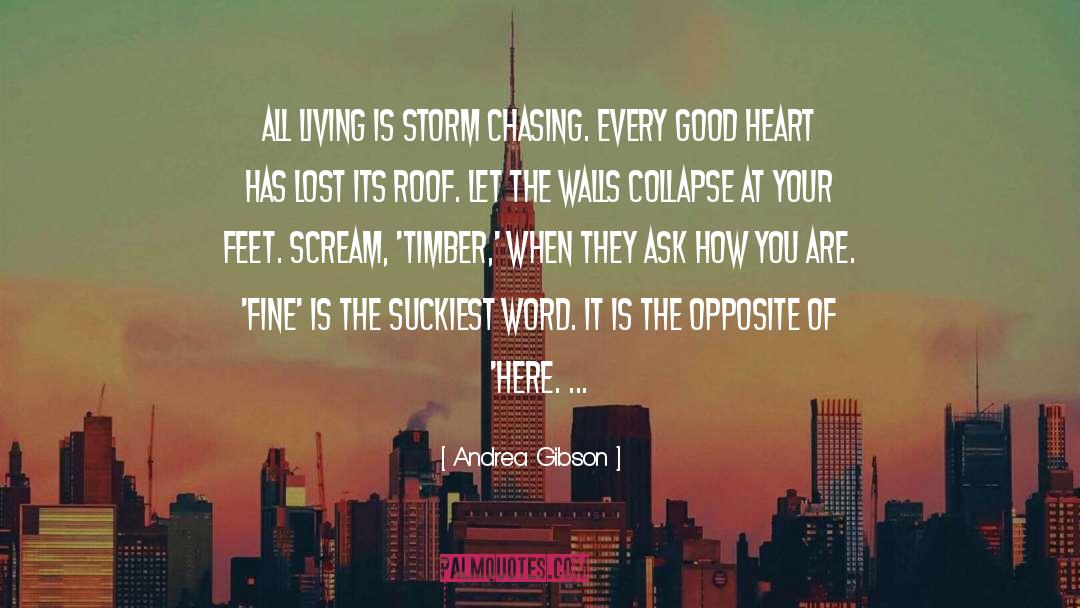 Andrea Gibson Quotes: All living is storm chasing.