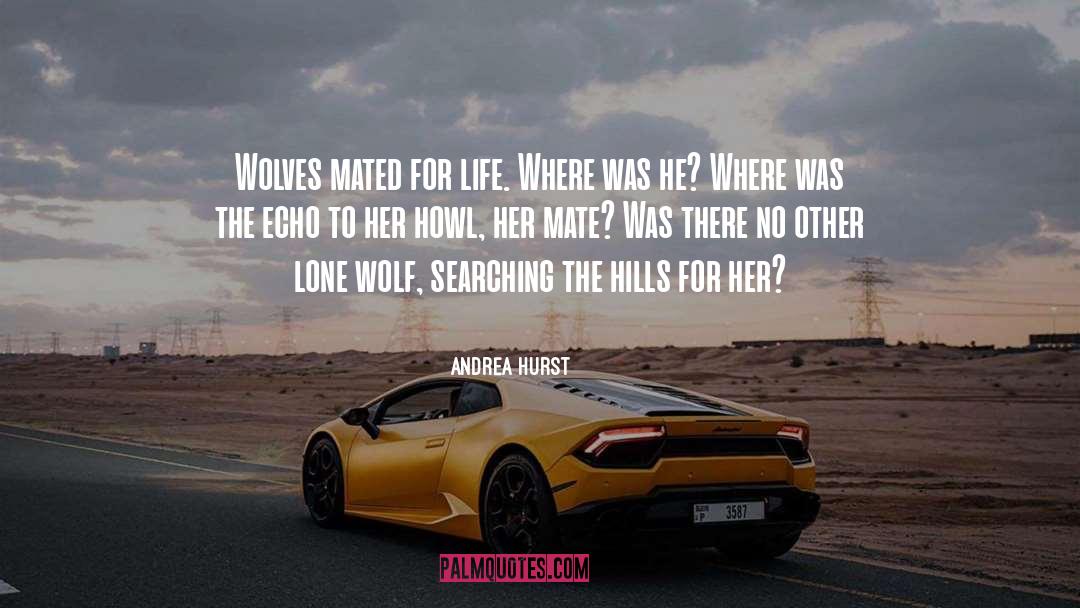 Andrea Hurst Quotes: Wolves mated for life. Where