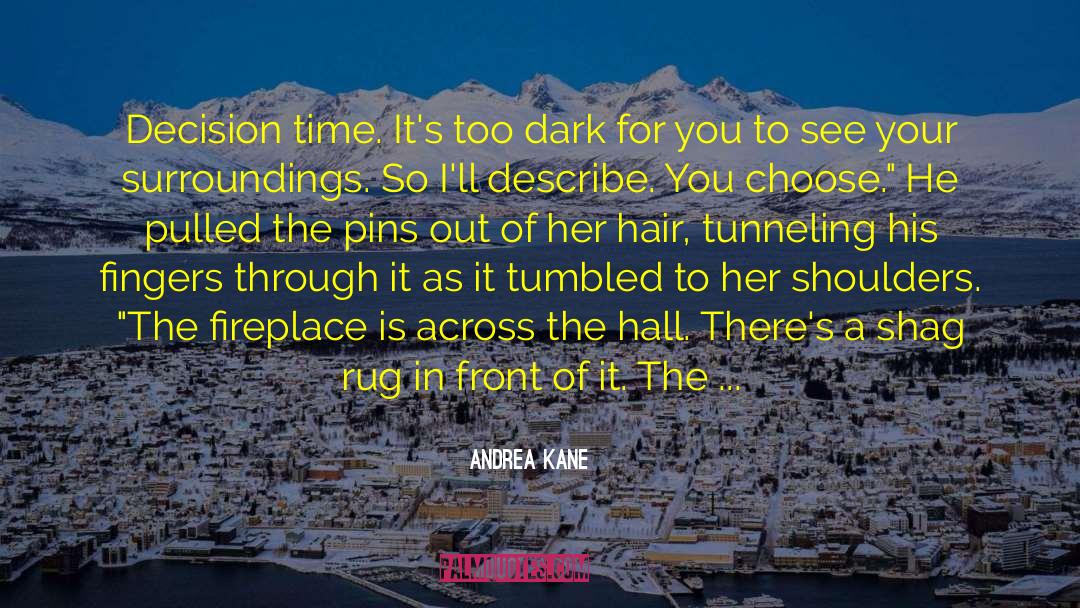 Andrea Kane Quotes: Decision time. It's too dark