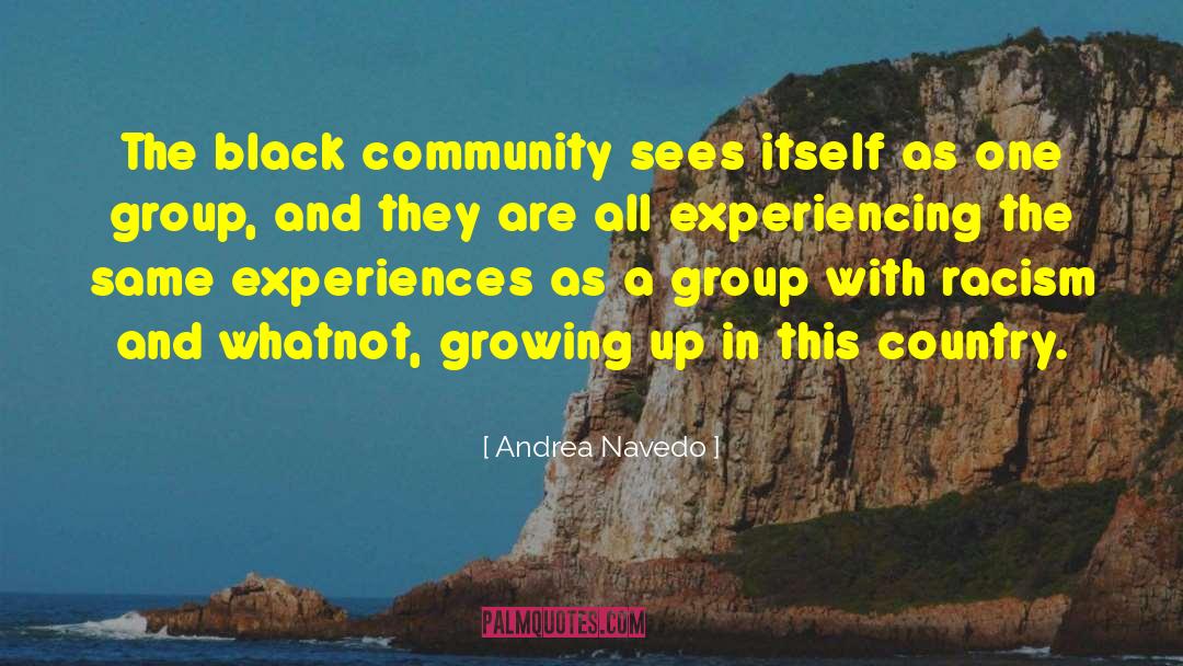 Andrea Navedo Quotes: The black community sees itself