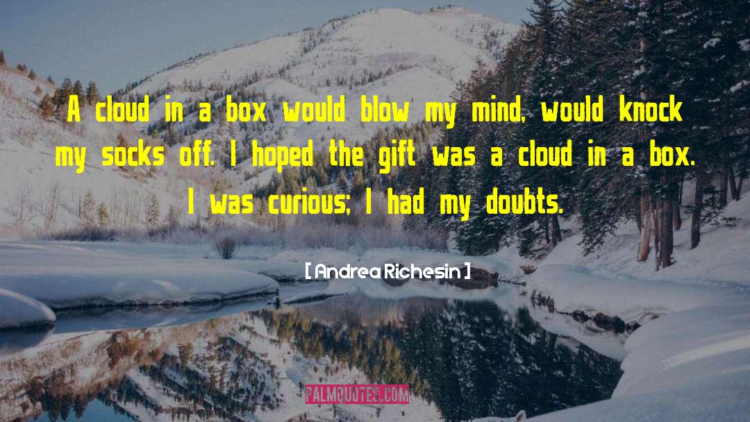 Andrea Richesin Quotes: A cloud in a box