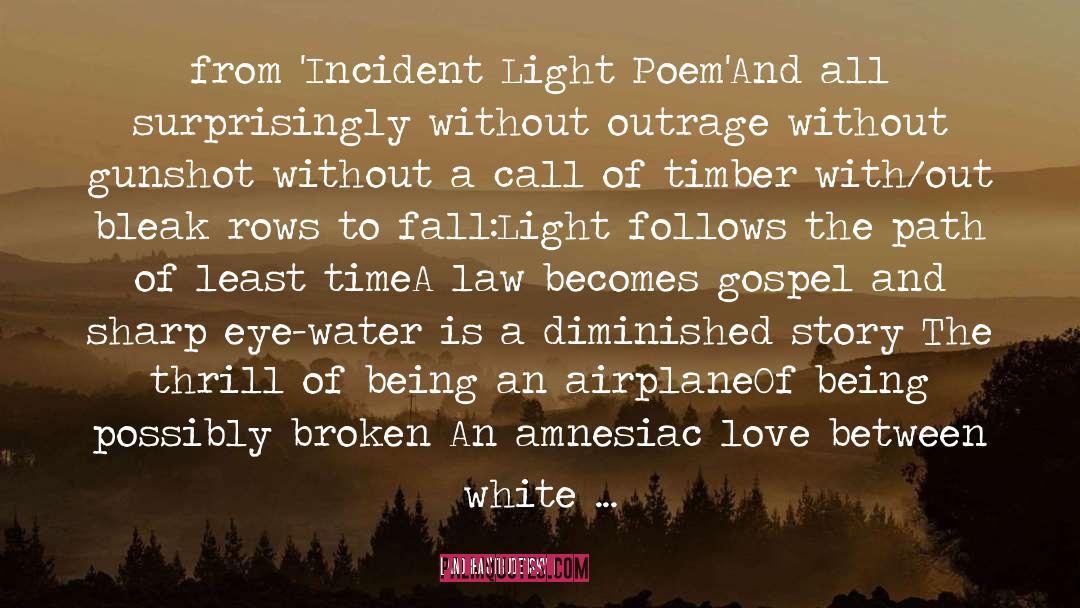 Andrea Strudensky Quotes: from 'Incident Light Poem'<br /><br