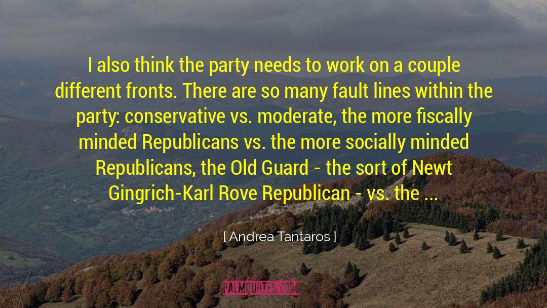 Andrea Tantaros Quotes: I also think the party