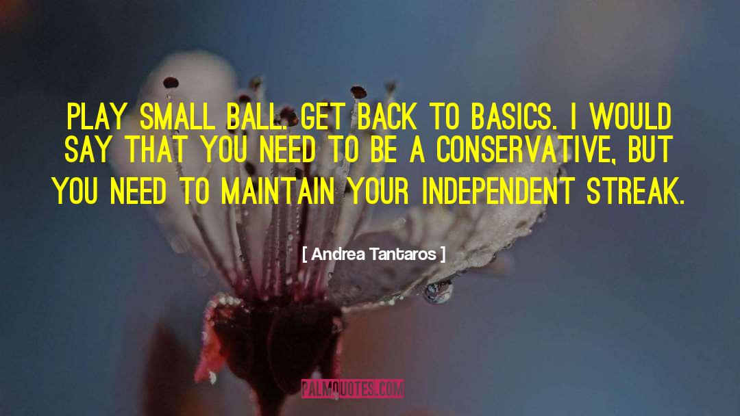 Andrea Tantaros Quotes: Play small ball. Get back