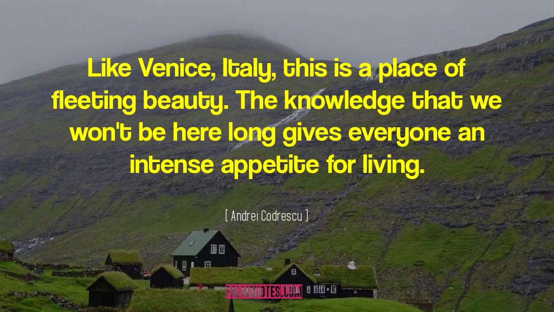 Andrei Codrescu Quotes: Like Venice, Italy, this is