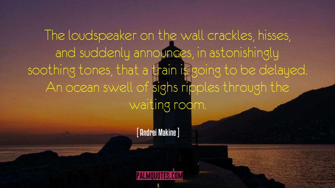 Andrei Makine Quotes: The loudspeaker on the wall