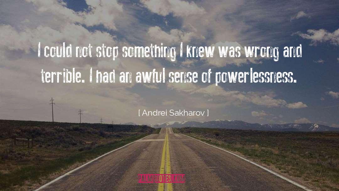 Andrei Sakharov Quotes: I could not stop something