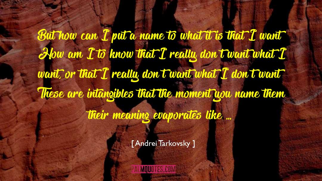 Andrei Tarkovsky Quotes: But how can I put
