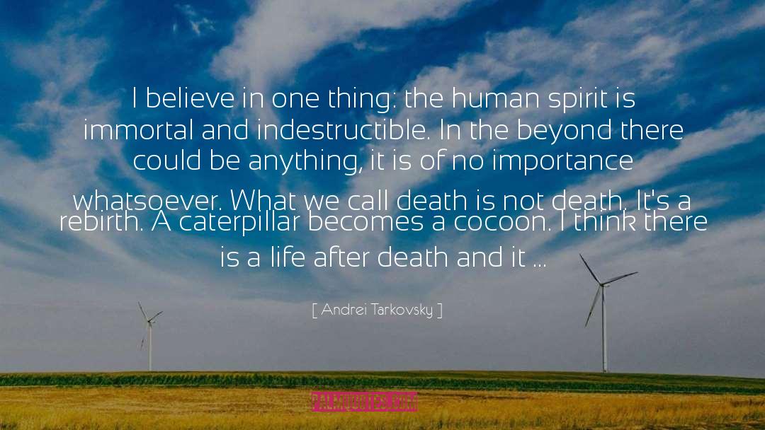 Andrei Tarkovsky Quotes: I believe in one thing: