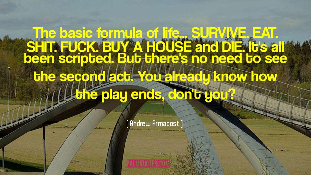 Andrew Armacost Quotes: The basic formula of life...