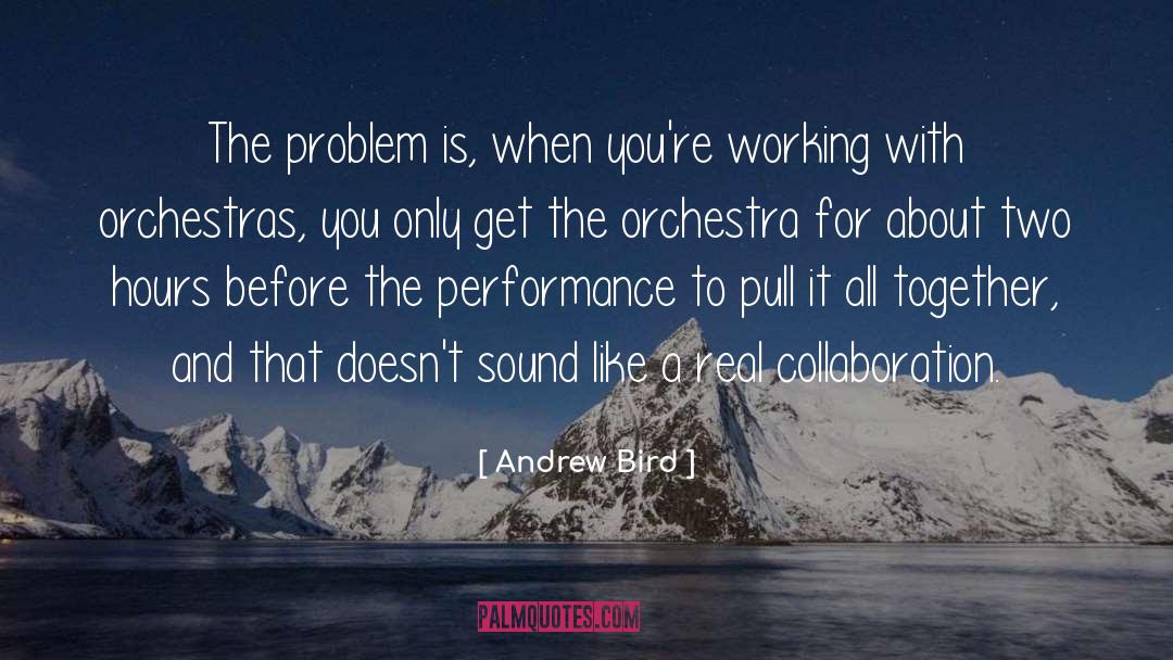 Andrew Bird Quotes: The problem is, when you're