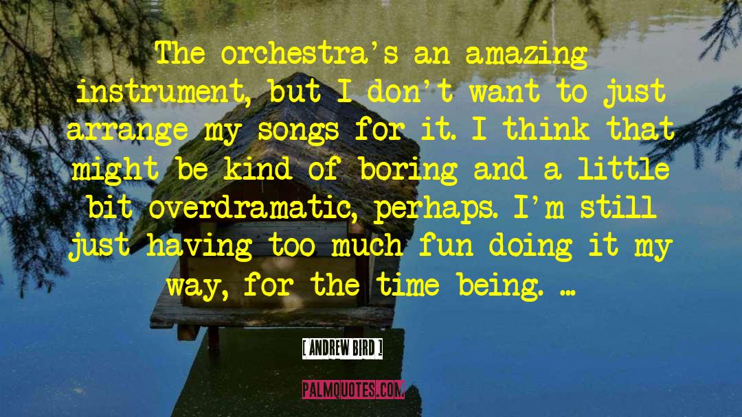 Andrew Bird Quotes: The orchestra's an amazing instrument,