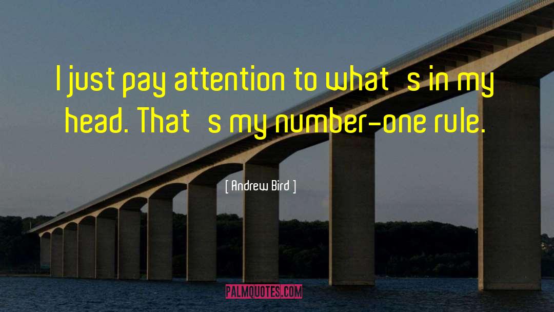 Andrew Bird Quotes: I just pay attention to