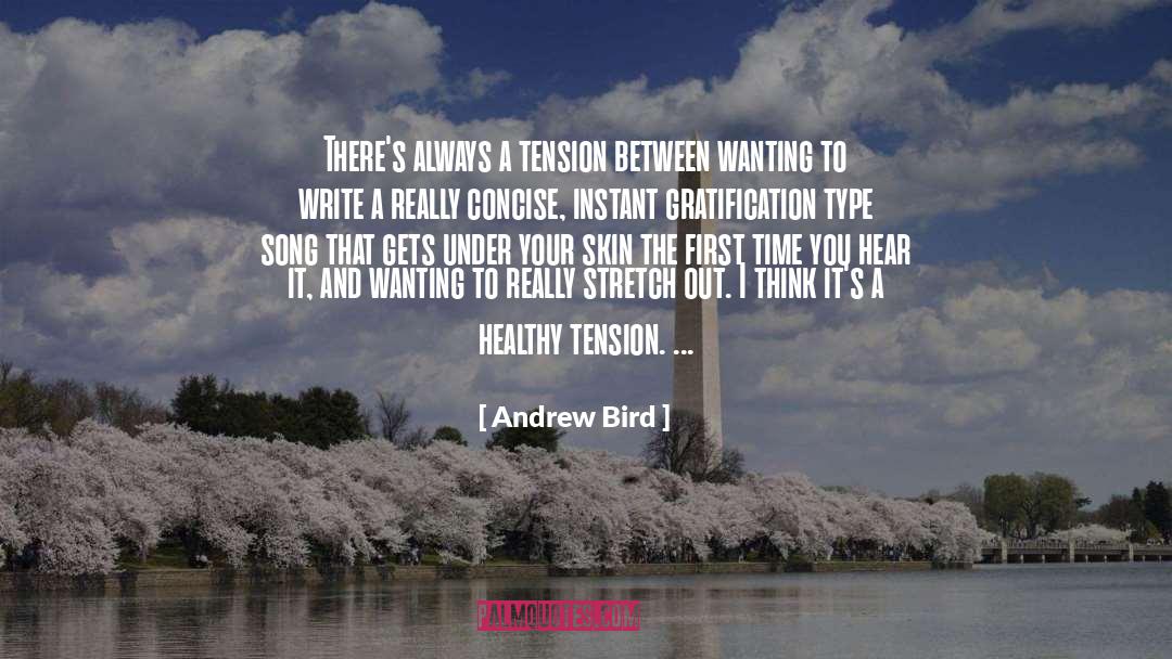 Andrew Bird Quotes: There's always a tension between