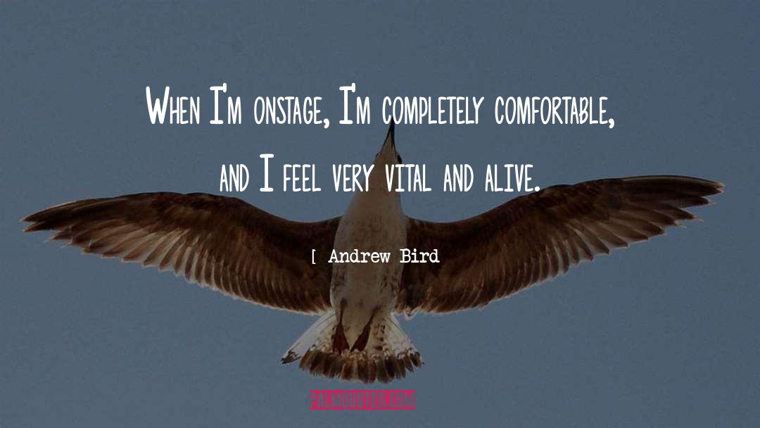 Andrew Bird Quotes: When I'm onstage, I'm completely