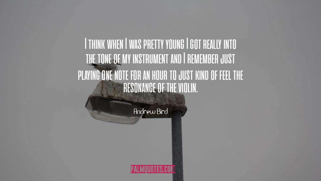 Andrew Bird Quotes: I think when I was