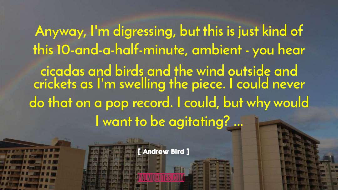 Andrew Bird Quotes: Anyway, I'm digressing, but this