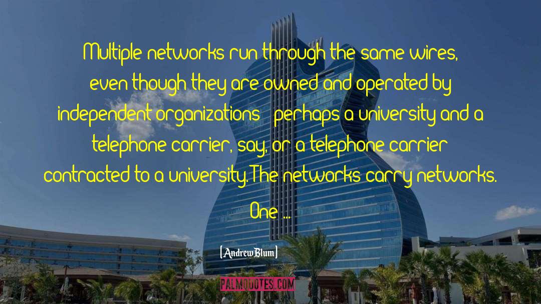 Andrew Blum Quotes: Multiple networks run through the