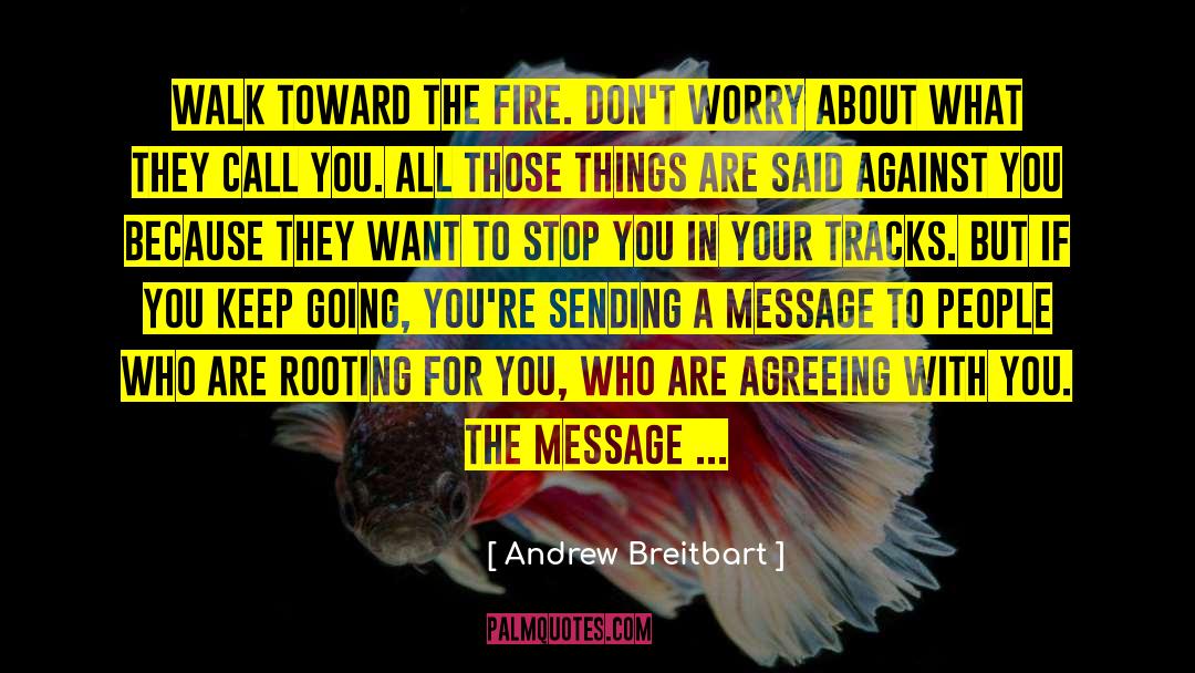 Andrew Breitbart Quotes: Walk toward the fire. Don't