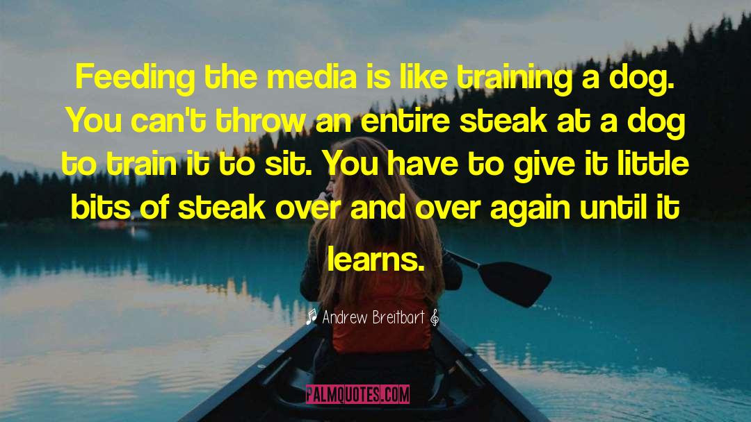 Andrew Breitbart Quotes: Feeding the media is like