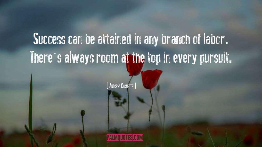 Andrew Carnegie Quotes: Success can be attained in