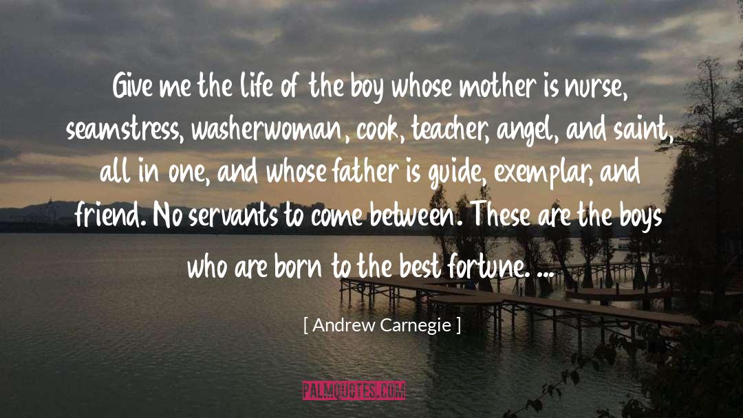 Andrew Carnegie Quotes: Give me the life of