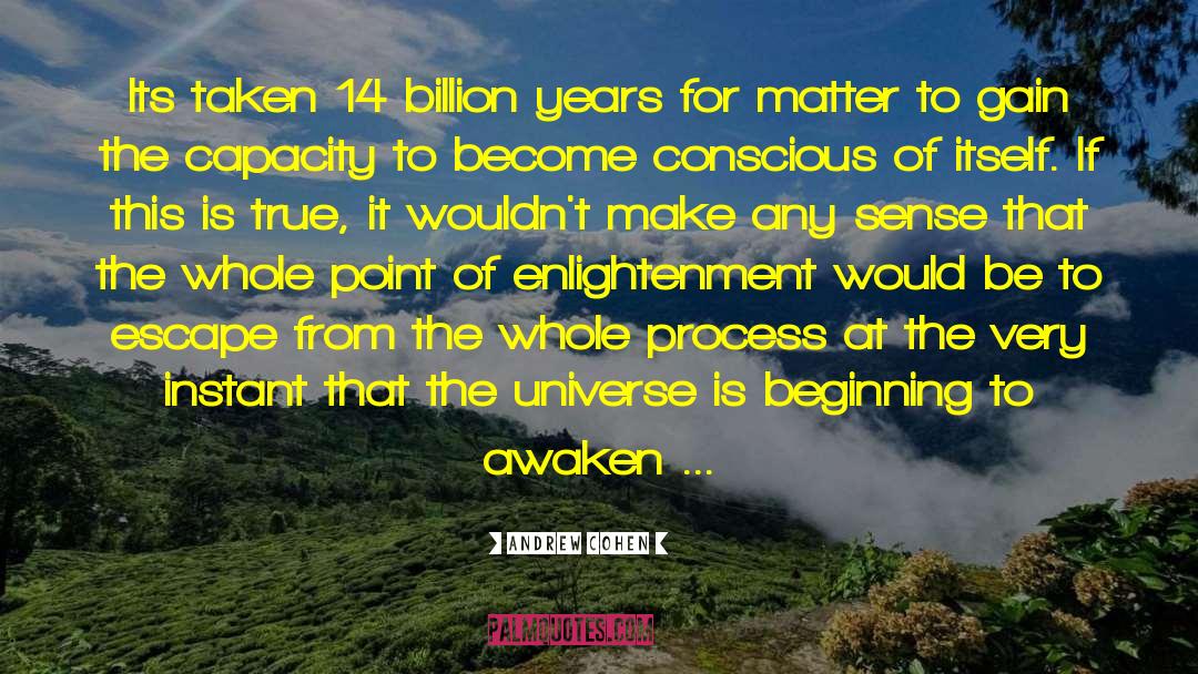 Andrew Cohen Quotes: Its taken 14 billion years