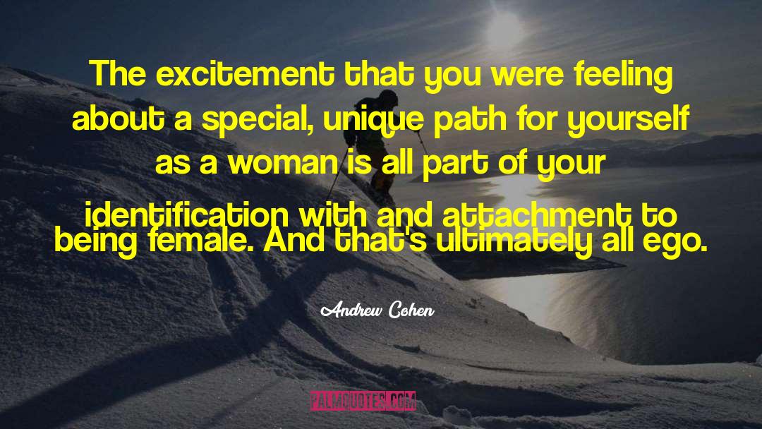 Andrew Cohen Quotes: The excitement that you were