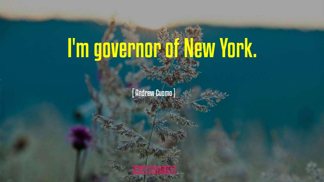 Andrew Cuomo Quotes: I'm governor of New York.