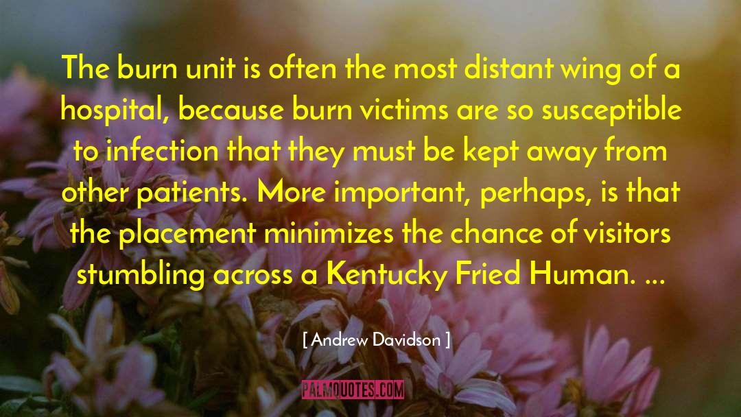 Andrew Davidson Quotes: The burn unit is often