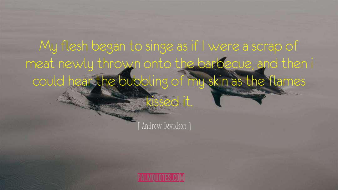 Andrew Davidson Quotes: My flesh began to singe