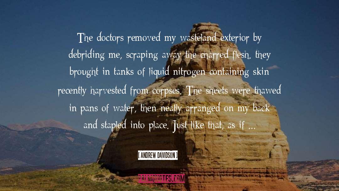 Andrew Davidson Quotes: The doctors removed my wasteland