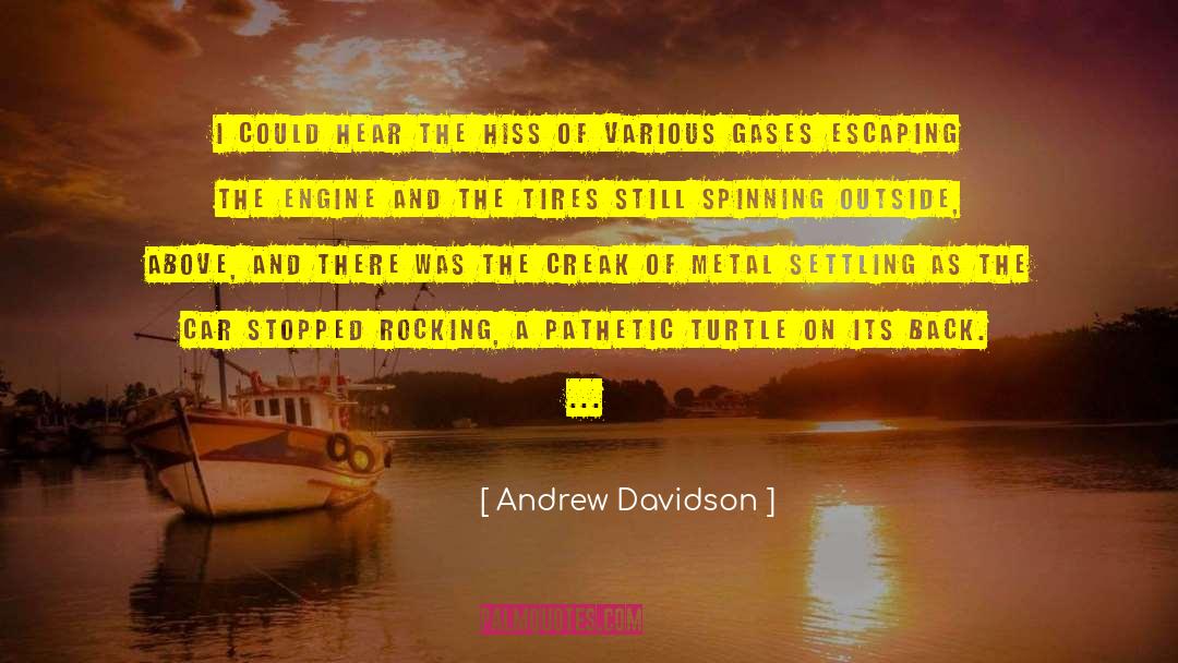 Andrew Davidson Quotes: I could hear the hiss