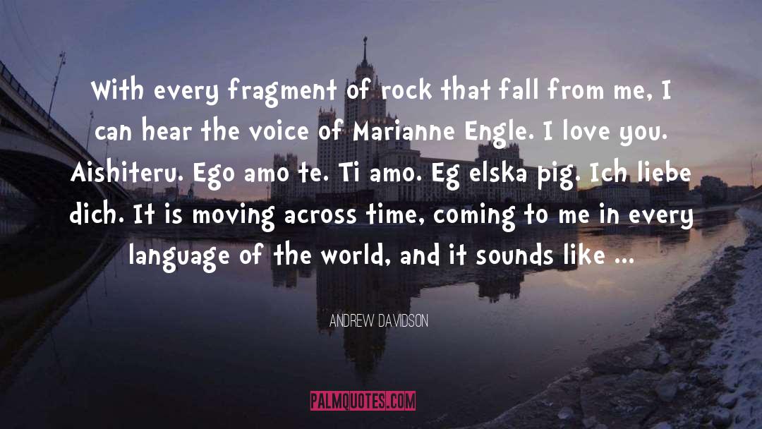 Andrew Davidson Quotes: With every fragment of rock