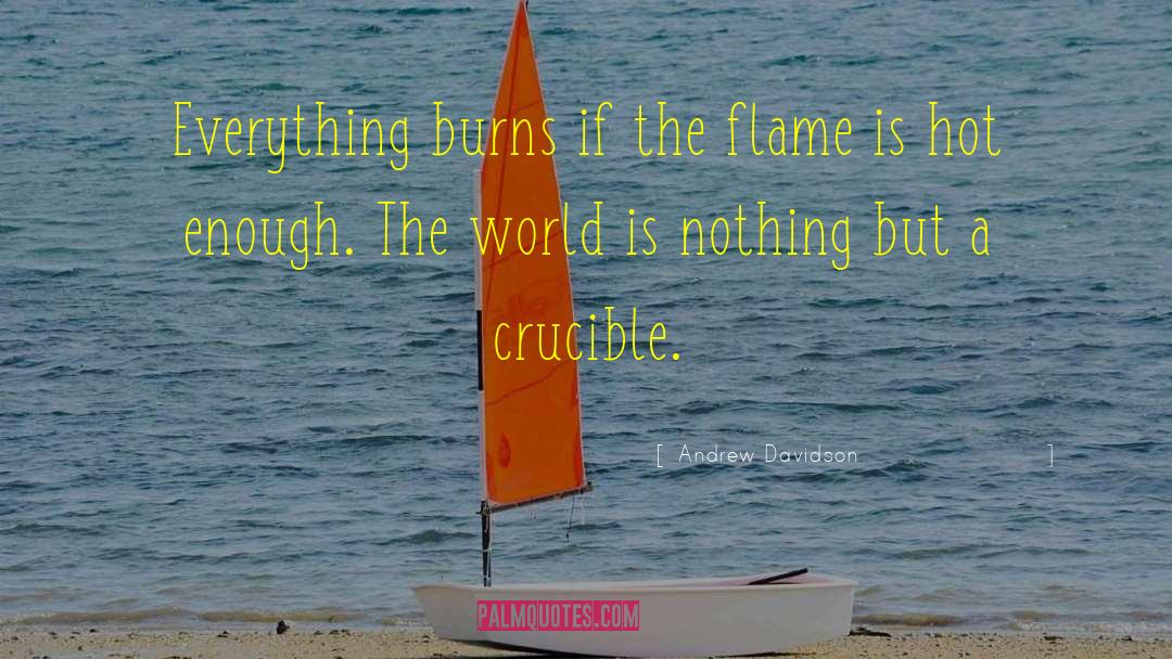 Andrew Davidson Quotes: Everything burns if the flame