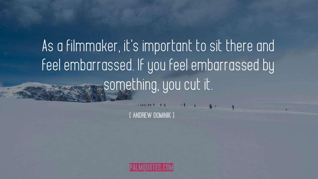 Andrew Dominik Quotes: As a filmmaker, it's important