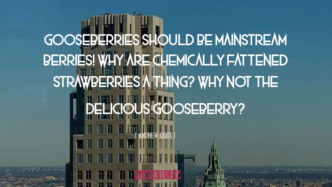 Andrew Dost Quotes: Gooseberries should be mainstream berries!