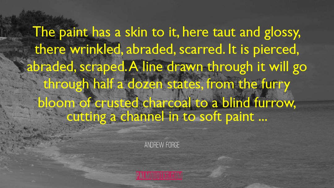 Andrew Forge Quotes: The paint has a skin